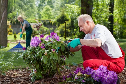 Worker wearing PPE operating a hedge cutter