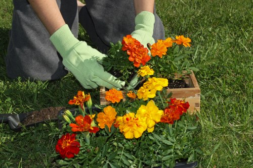 Close-up of hands planting a seedling at a Peckham garden workshop