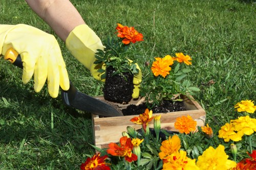 PPE laid out for gardening tasks including gloves and goggles